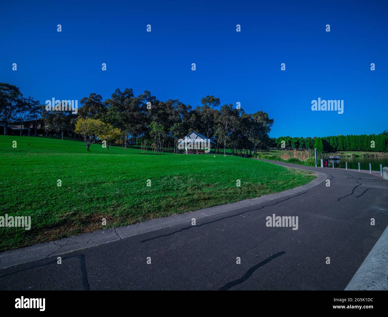 Vista della fauna selvatica e della macchia sul litorale del fiume Parramatta Sydney NSW Australia Foto Stock
