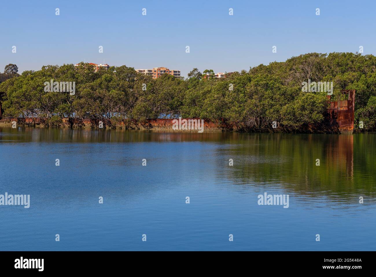 Vista della fauna selvatica e della macchia sul litorale del fiume Parramatta Sydney NSW Australia Foto Stock