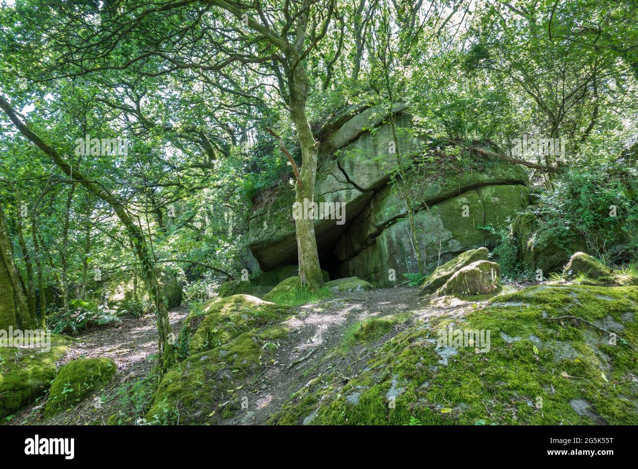 Rocce e formazioni rocciose tra alberi verdi in boschi sotto Sharpentor, Lustleigh, Dartmoor National Park, Devon, Inghilterra, Regno Unito, Europa Foto Stock