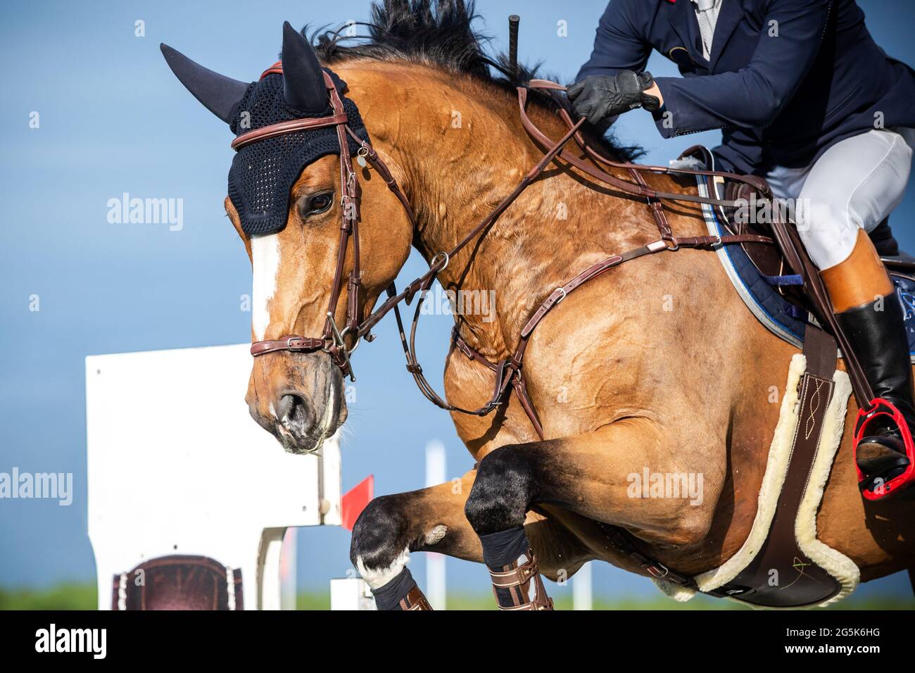 Sport equestri a tema fotografico: Salto a cavallo, salto con spettacolo, equitazione. Foto Stock