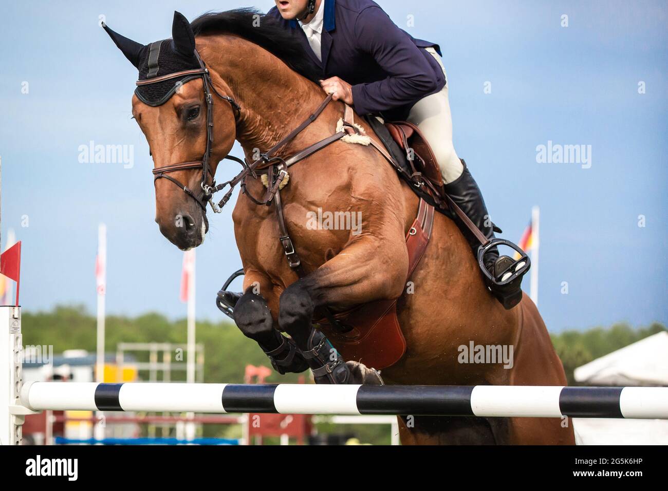 Sport equestri a tema fotografico: Salto a cavallo, salto con spettacolo, equitazione. Foto Stock