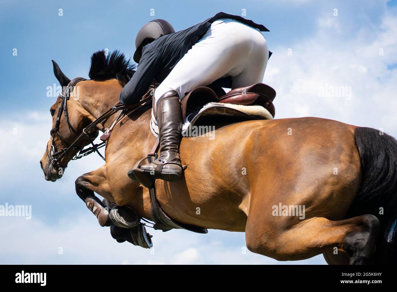 Sport equestri a tema fotografico: Salto a cavallo, salto con spettacolo, equitazione. Foto Stock