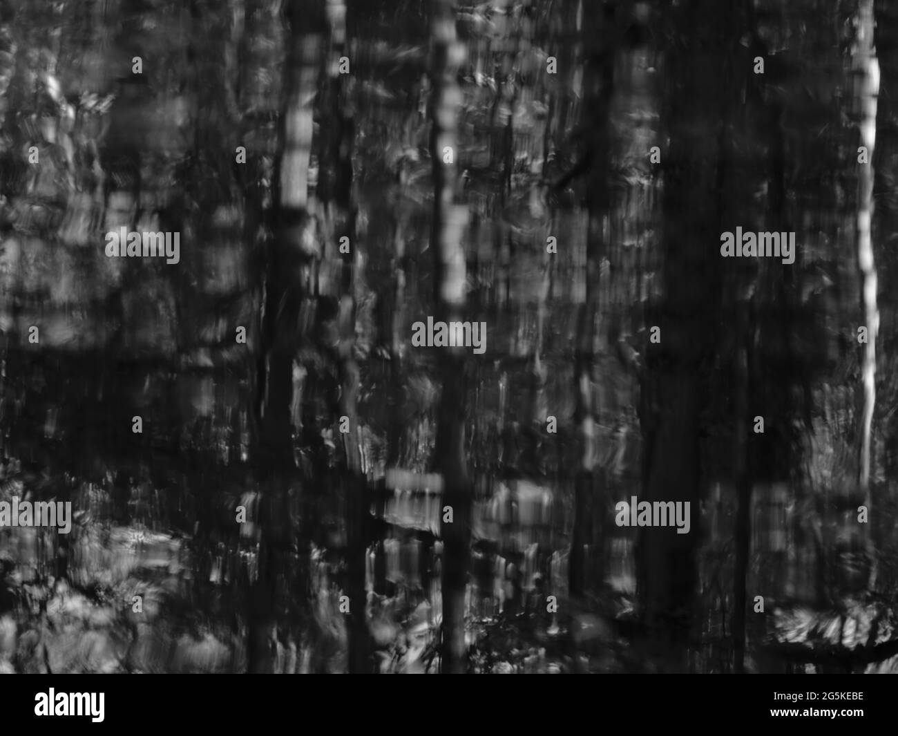 Riflesso bianco e nero degli alberi nell'acqua, creando un motivo verticale astratto con linee sfocate e superficie ruvida Foto Stock