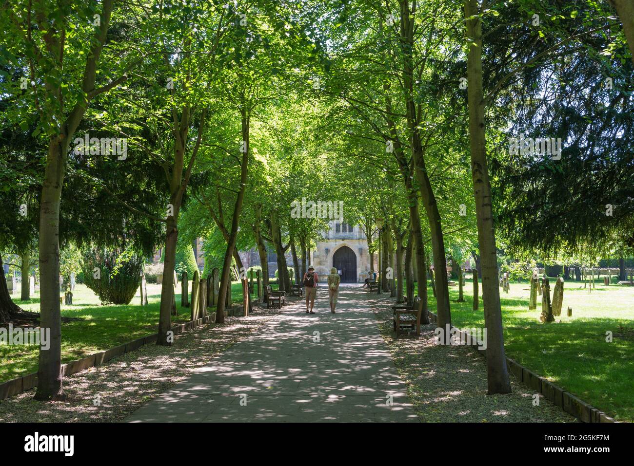 Percorso alberato che conduce alla Chiesa della Santissima Trinità a Stratford-upon-Avon, Warwickshire, il luogo della tomba di William Shakespeare Foto Stock