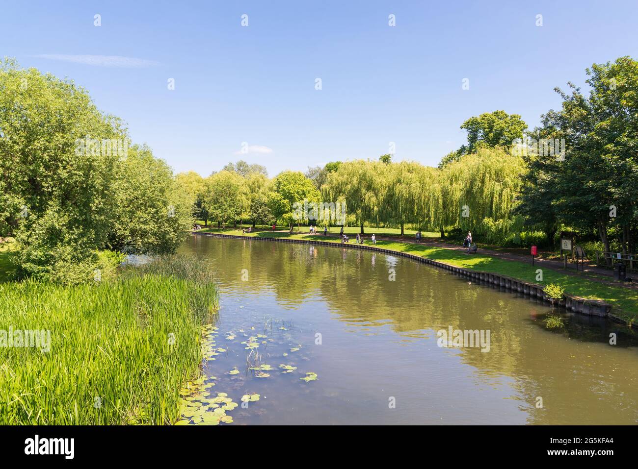 Il fiume Avon a Stratford-upon-Avon, Warwickshire Foto Stock