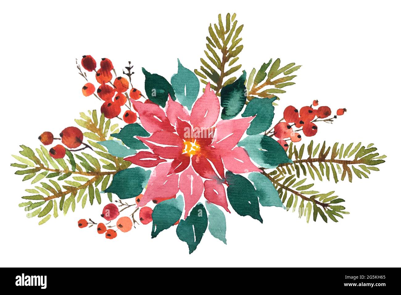 Acquerello arangement di poinsettia, abete rosso e bacche rosse per decorazione di Natale Foto Stock