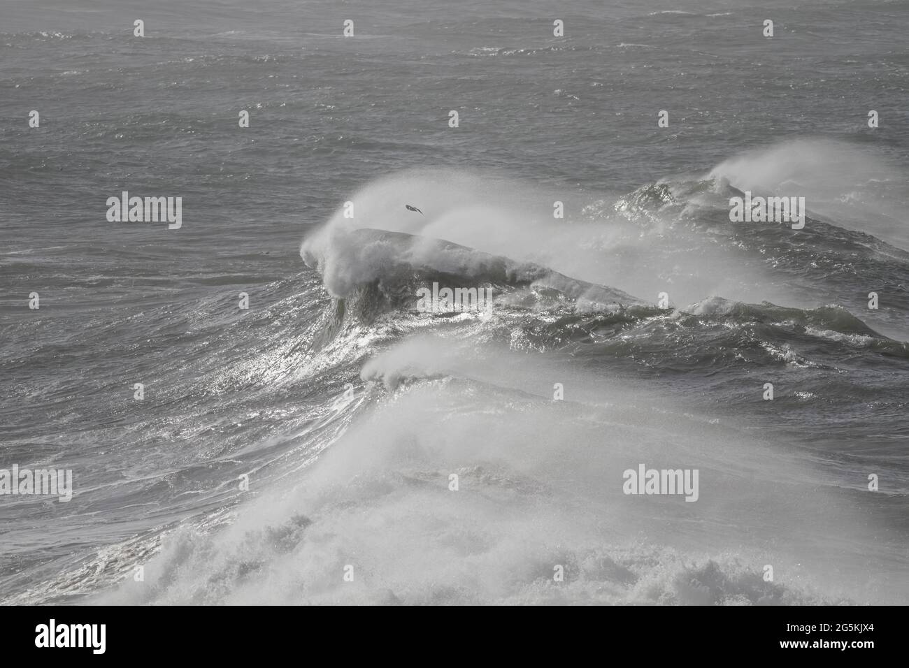 Grande onda di tempesta con spruzzi di vento. Costa del portogallo settentrionale. Foto Stock