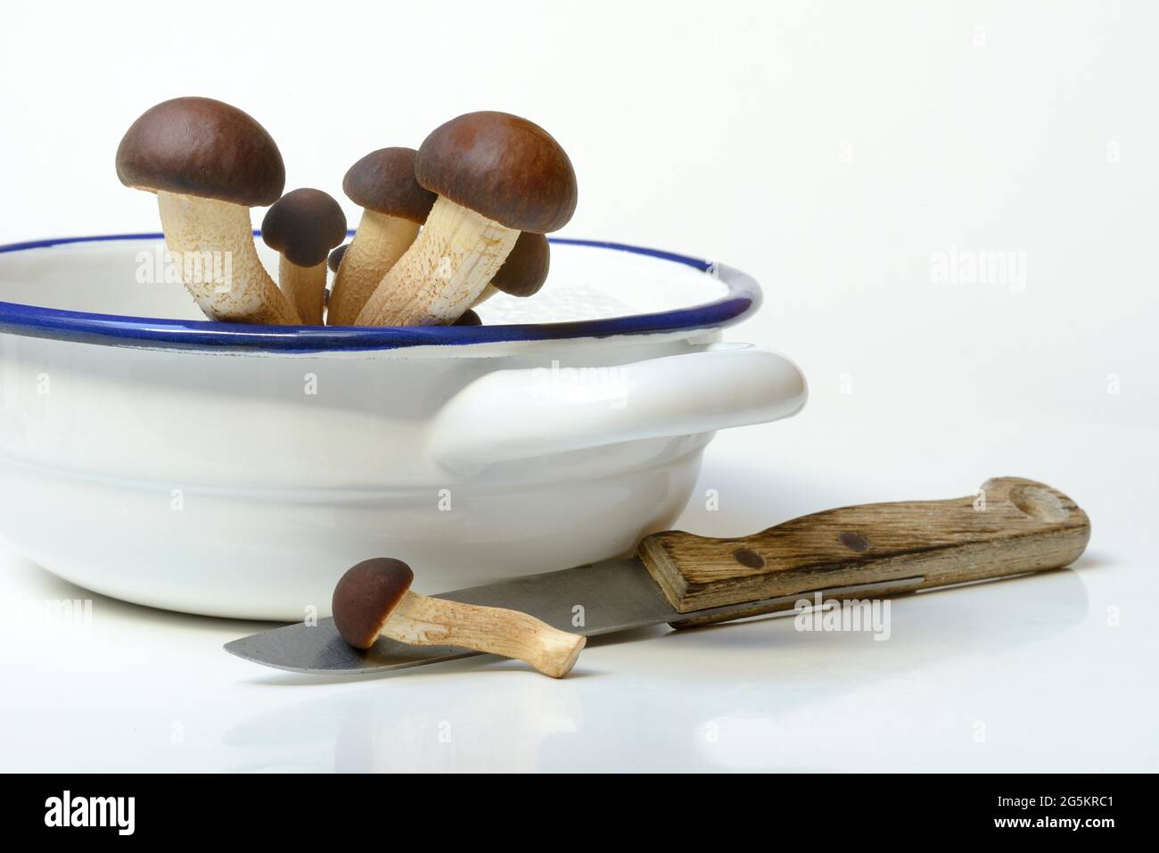 Pioppino, Ackerling Meridionale, funghi commestibili in conchiglia e coltello Foto Stock