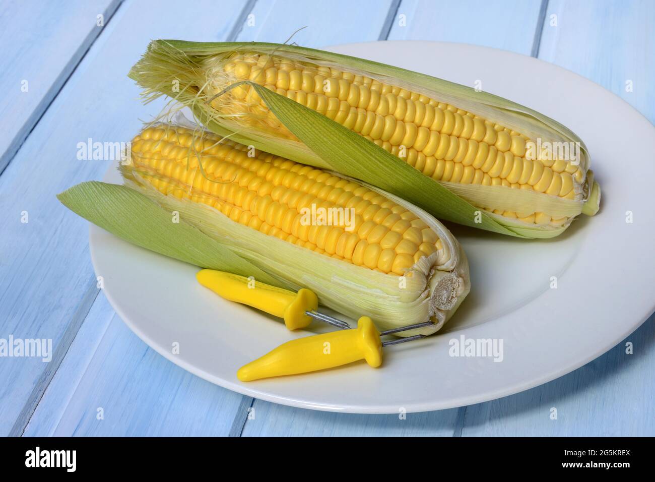 Supporto per pannocchie di mais e pannocchie di mais su piastra, mais dolce, Germania, Europa Foto Stock