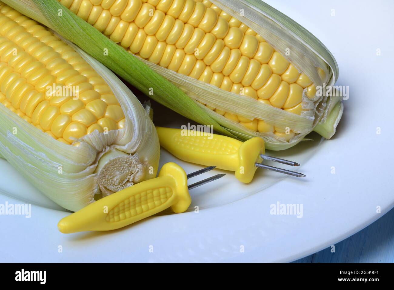 Supporto per pannocchie di mais e pannocchie di mais su piastra, mais dolce, Germania, Europa Foto Stock
