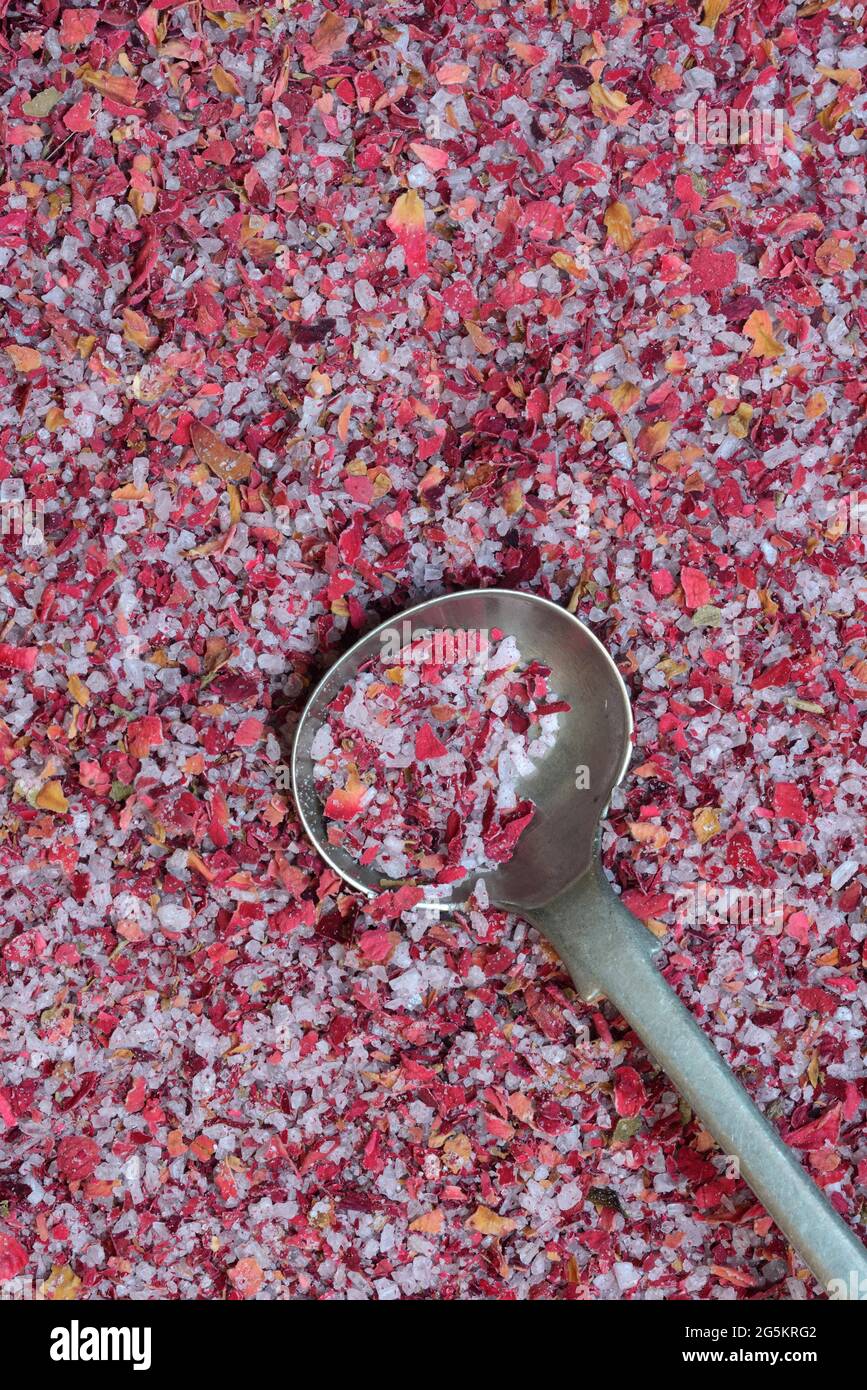 Sale di rosa con cucchiaio, sale di petali di rosa, Germania, Europa Foto Stock