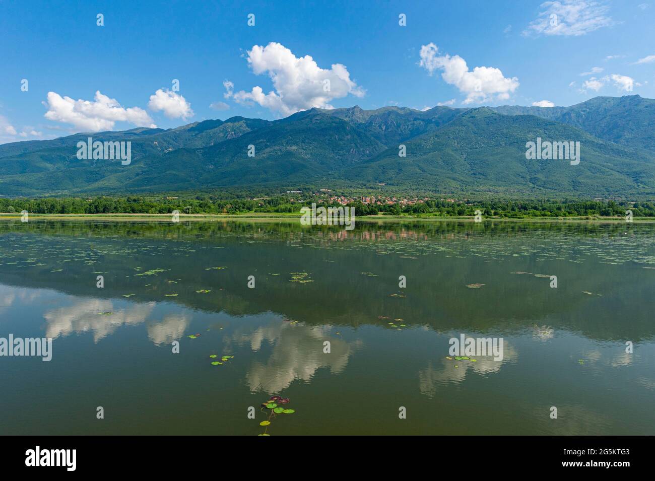 Lago di Kerkini piano, Macedonia, Grecia, Europa Foto Stock