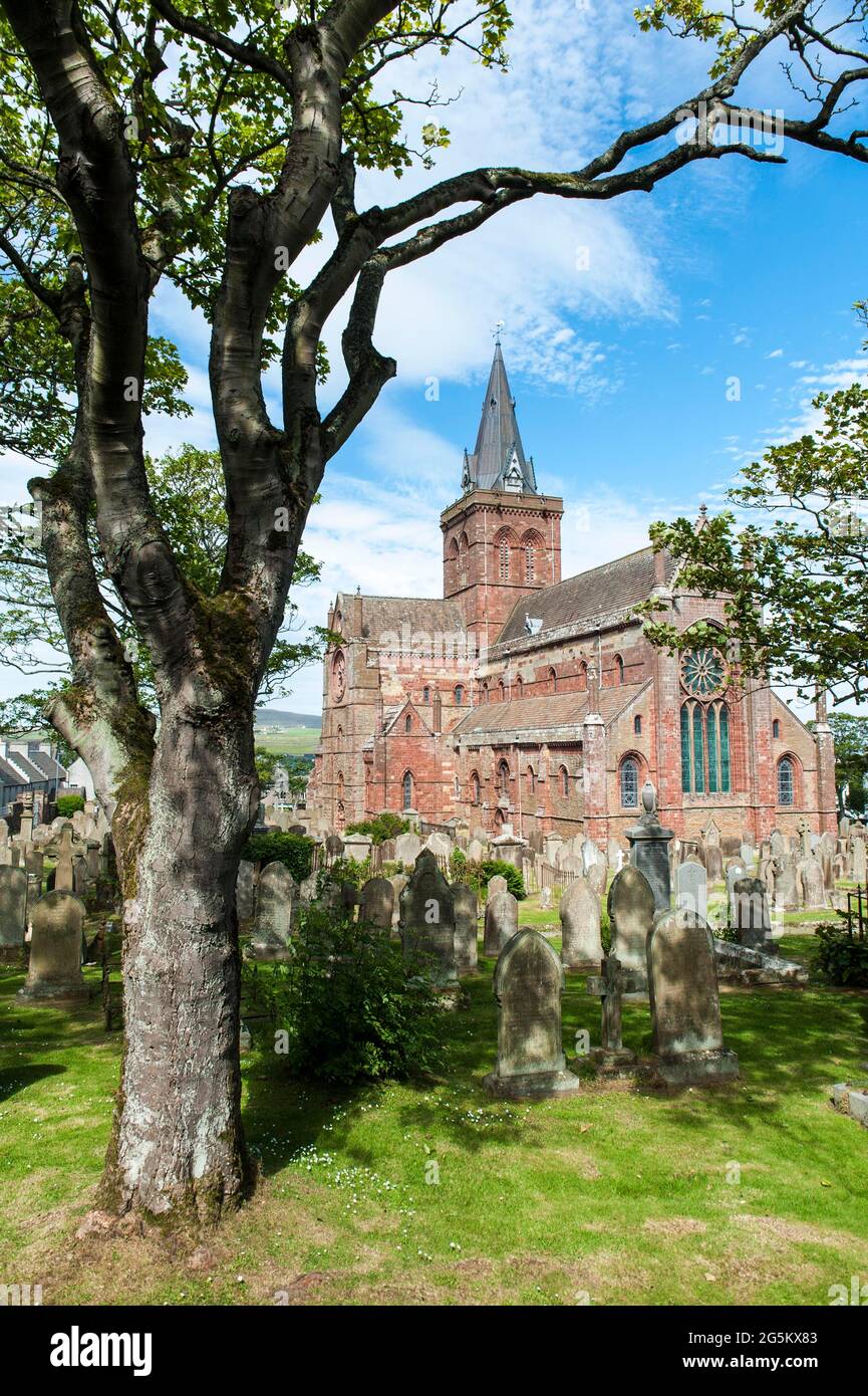 Cattedrale di St Magnus, Cattedrale di St Magnus, costruita con arenaria rossa, alberi e cimitero, Kirkwall, terraferma, Isole Orcadi, Scotland, Regno Unito, Foto Stock