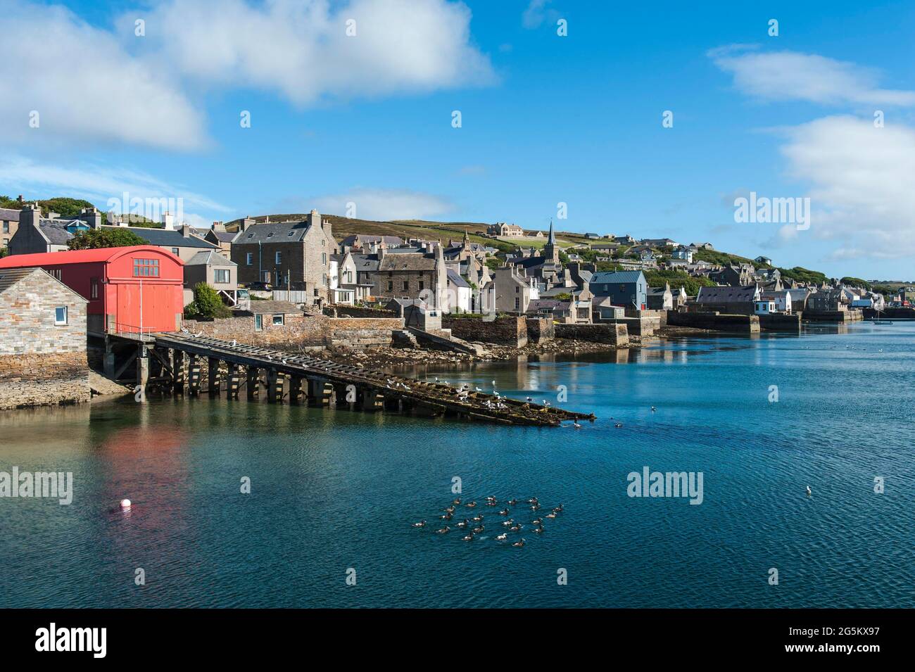 Vecchie case da pesca sul mare, gruppo di anatre di eider (Somateria mollissima), Stromness, terraferma, Isole Orcadi, Scozia, Gran Bretagna Foto Stock