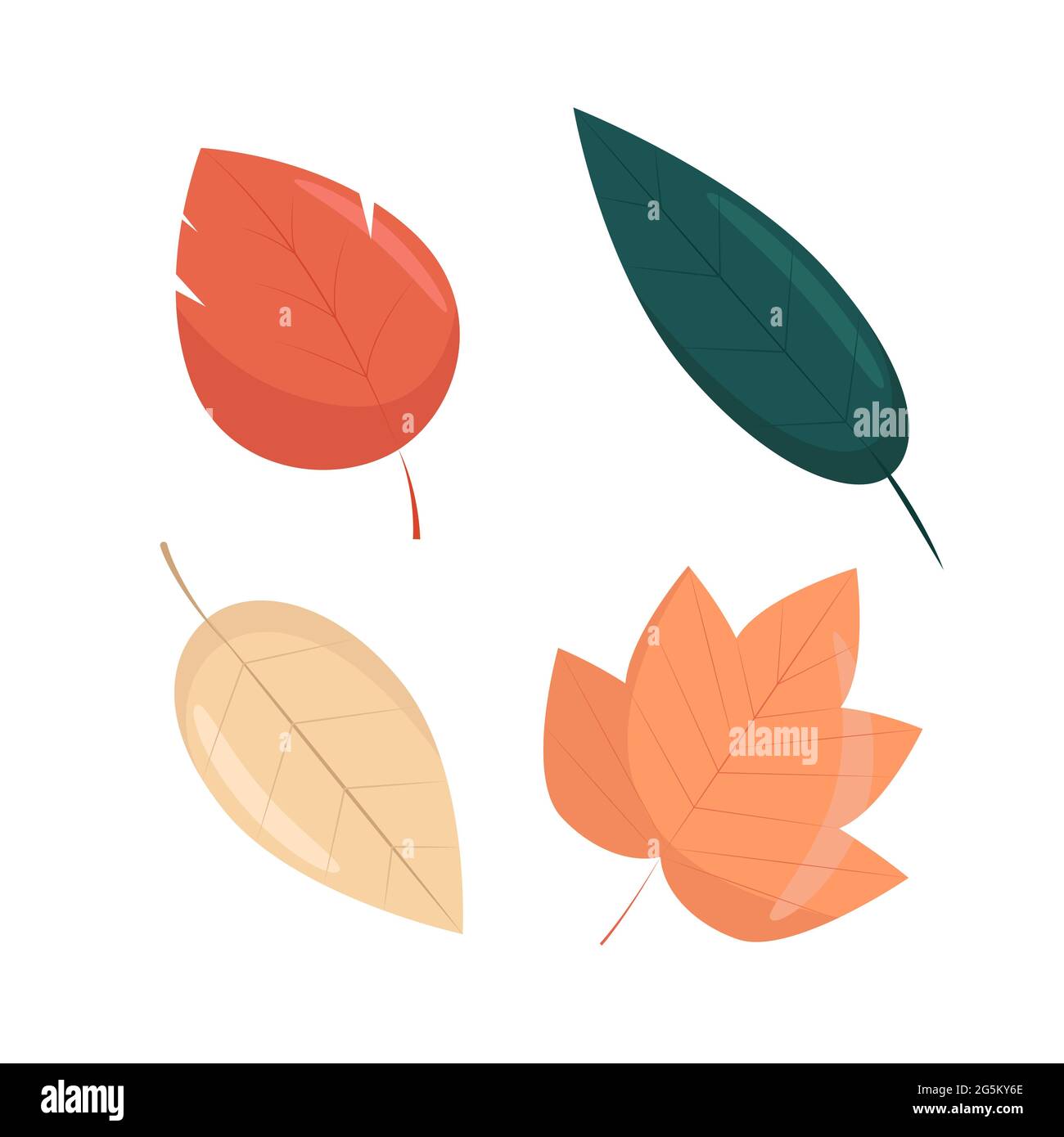 Set di foglie autunnali in stile piatto, vettoriale illustrazione di foglie autunnali luminose, isolate Illustrazione Vettoriale