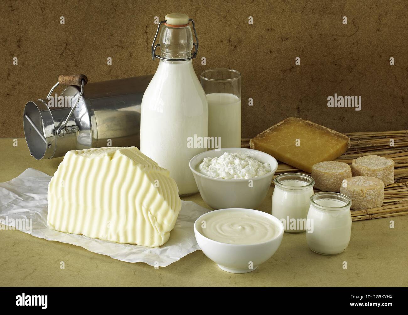 Prodotti a base di latte, latte, panna doppia, yogurt, formaggi molli, burro, formaggio Foto Stock