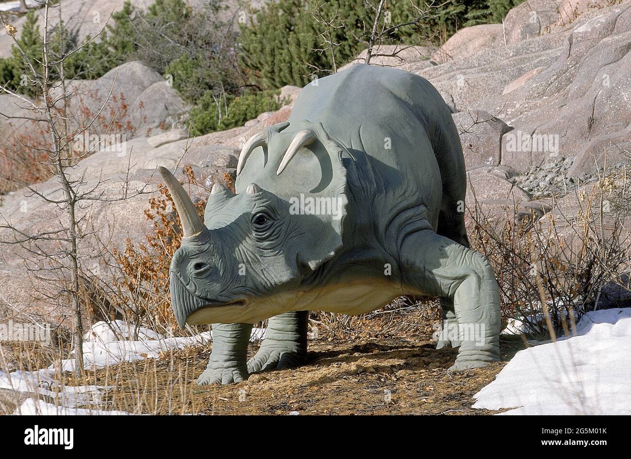 Centrosaurus, dinosauro erbivoro dei Ceratops del tardo periodo cretaceo Foto Stock