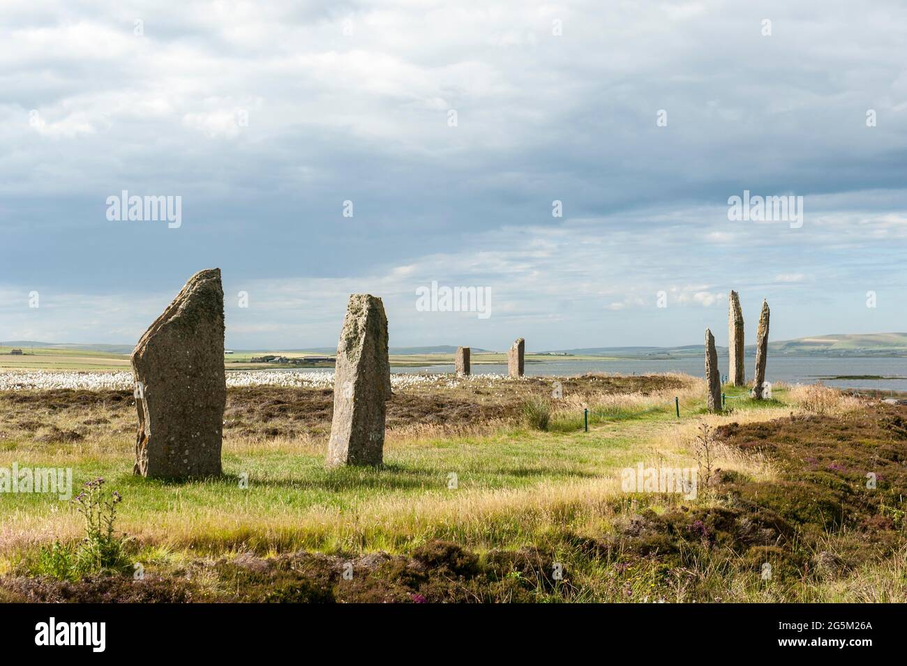 Il cuore del neolitico Orkney, lastre di pietra, Neolitico grande cerchio di pietra, henge, anello di Brodgar, terraferma, Isole Orcadi, Scozia, Gran Bretagna Foto Stock