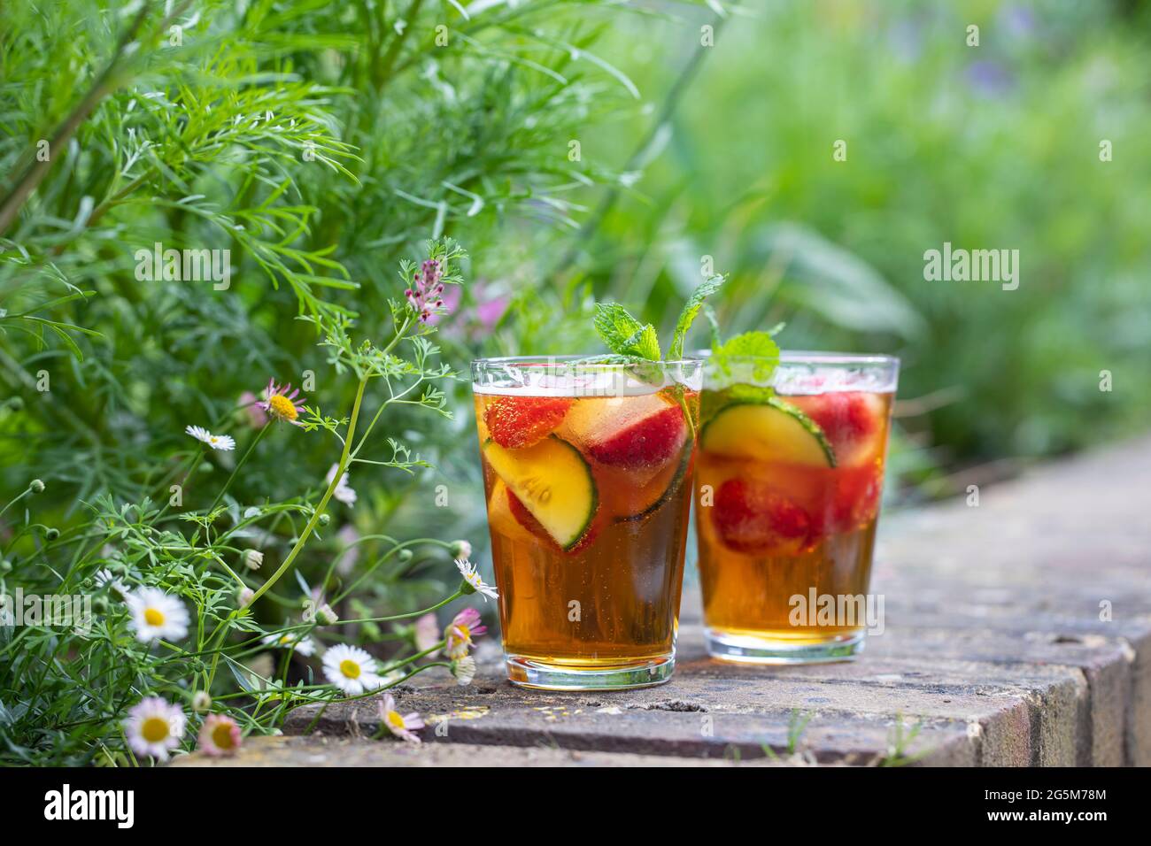 Cocktail inglese tradizionale di pimms e limonata Foto Stock
