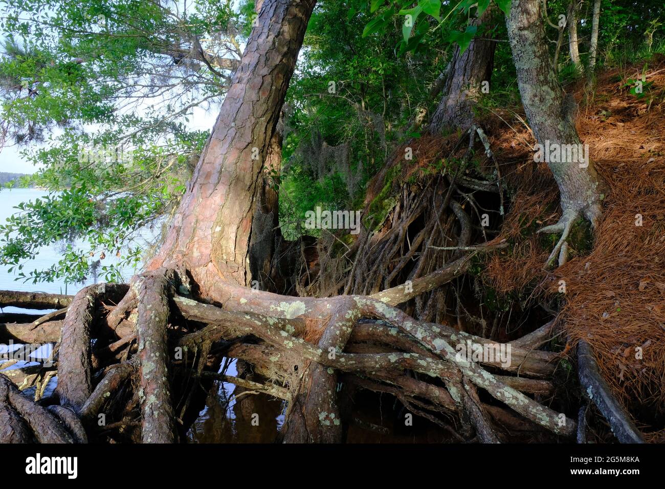 Area ricreativa di Indian Creek, Louisiana Foto Stock