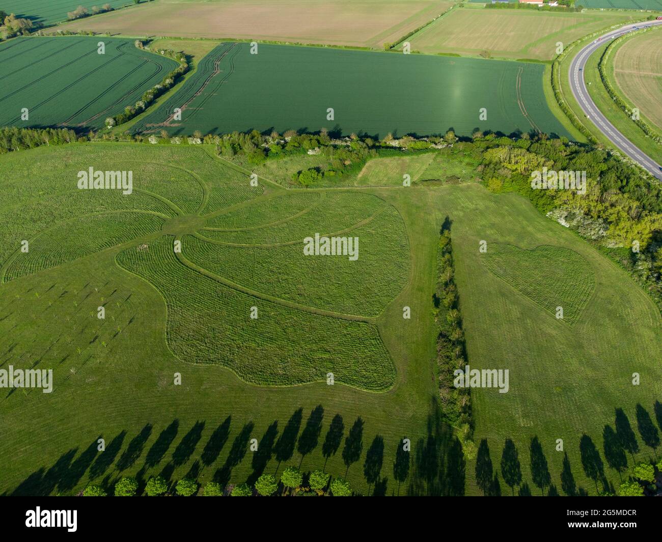 Vista aerea con droni di schemi tagliati in grandi prati residenziali con alberi che gettano ombre nelle formazioni astratte del cuore vicino ad Arlesey, Bedfordshire, Regno Unito. Foto Stock