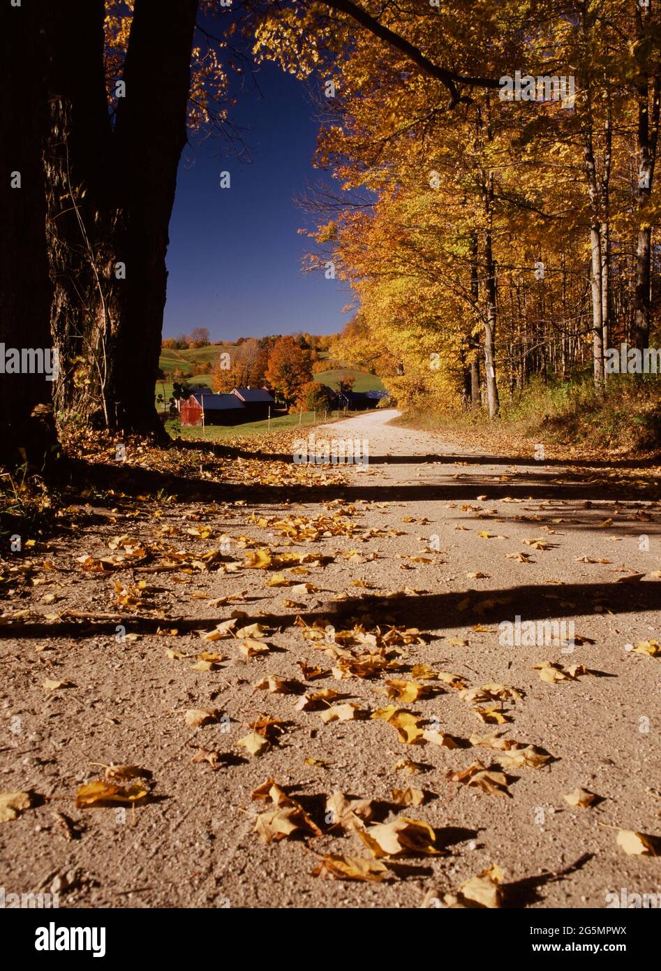 Vermont strada di campagna in autunno - Jenne Farm Foto Stock