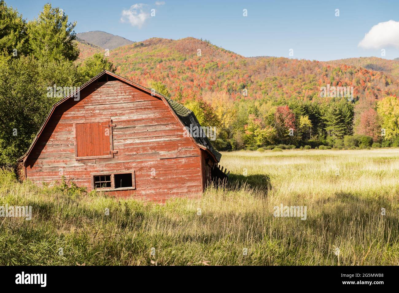 Antico, rustico, fienile rosso con alberi colorati sullo sfondo montuoso degli Adirondack Foto Stock