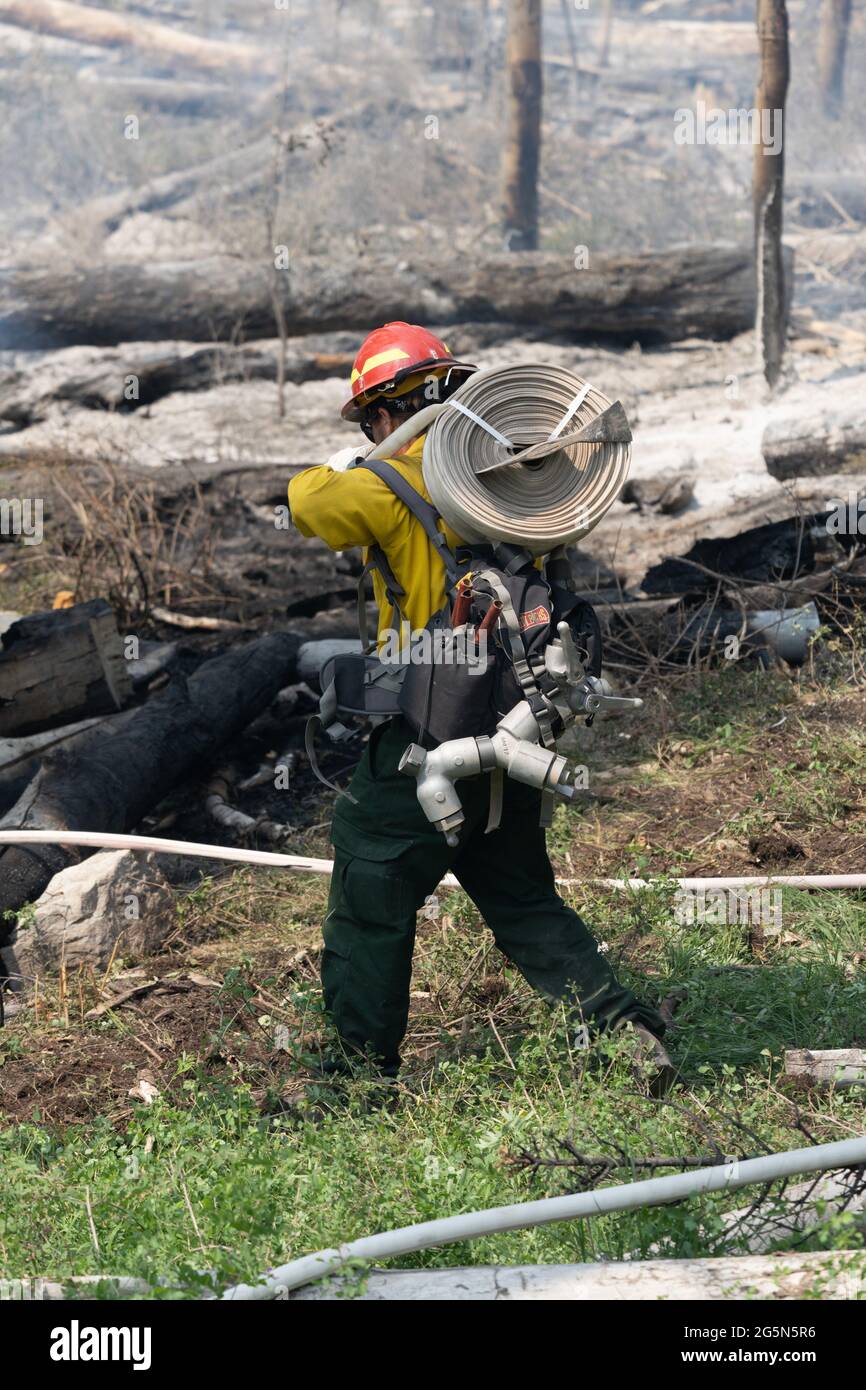 Un vigile del fuoco trasporta tubi flessibili per l'acqua per aiutare a spegnere un incendio nelle montagne di la SAL nello Utah. Foto Stock