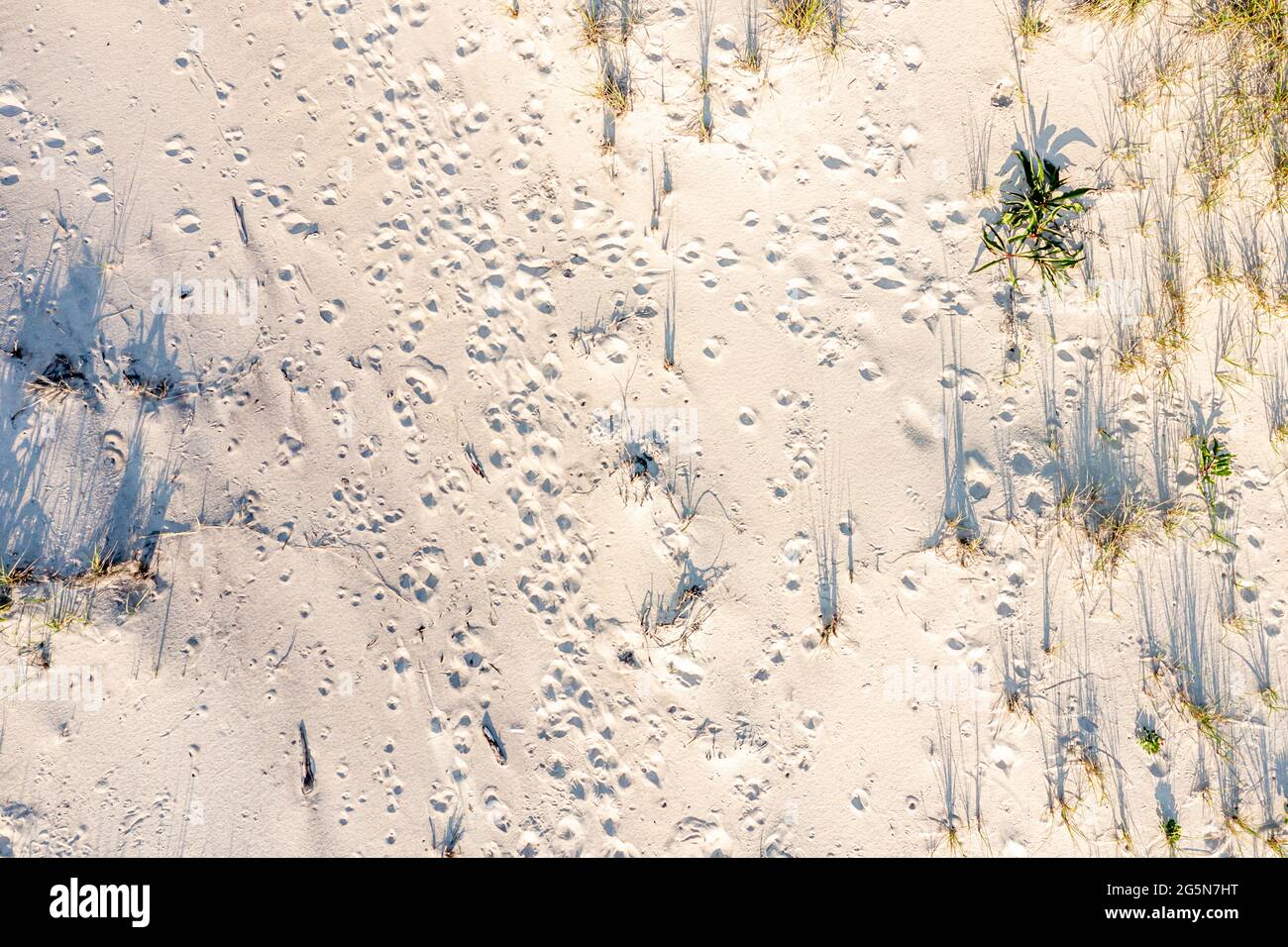 vista aerea delle marcature casuali in una spiaggia dell'oceano Foto Stock