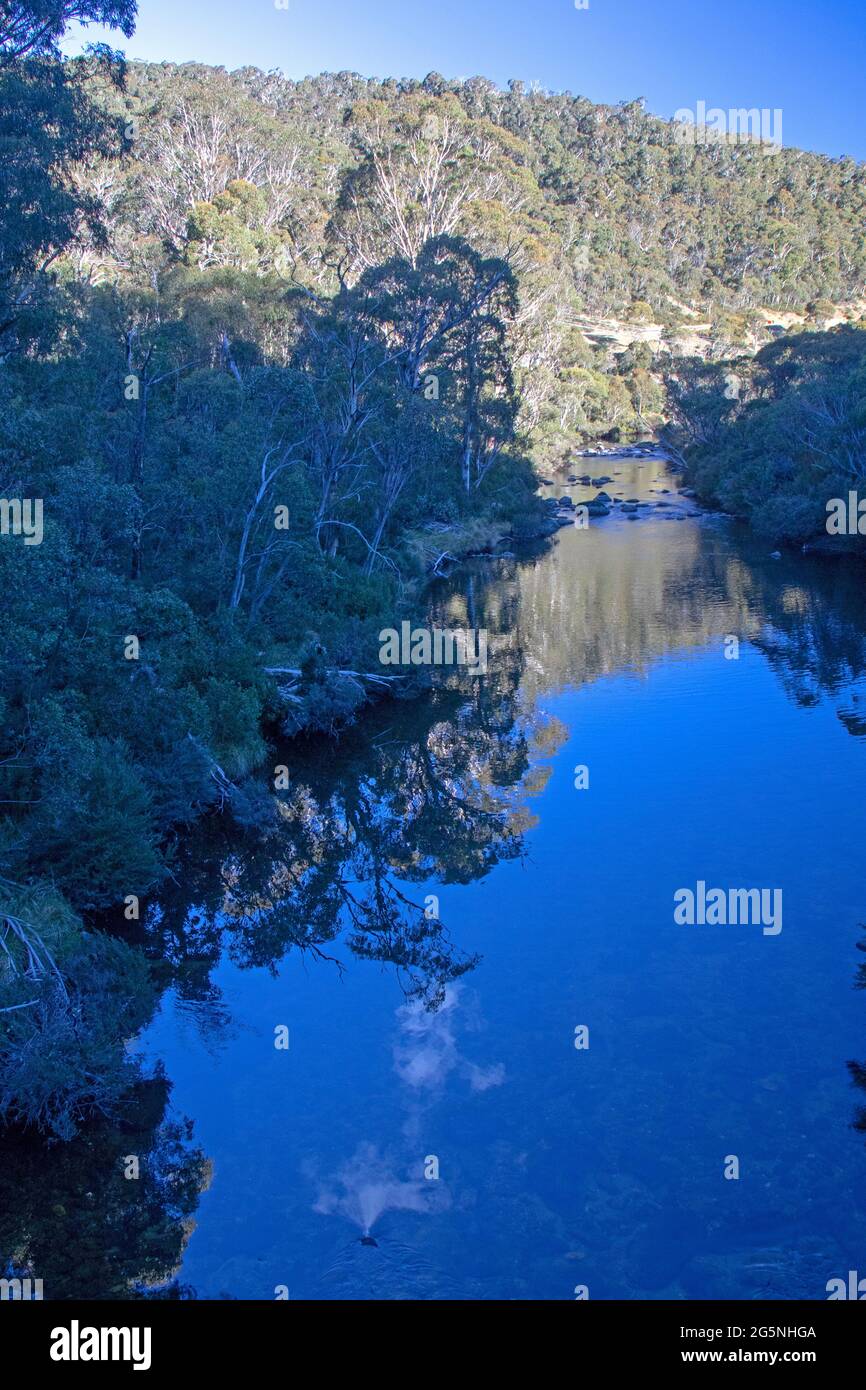 Fiume Thredbo, Parco Nazionale di Kosciuszko Foto Stock