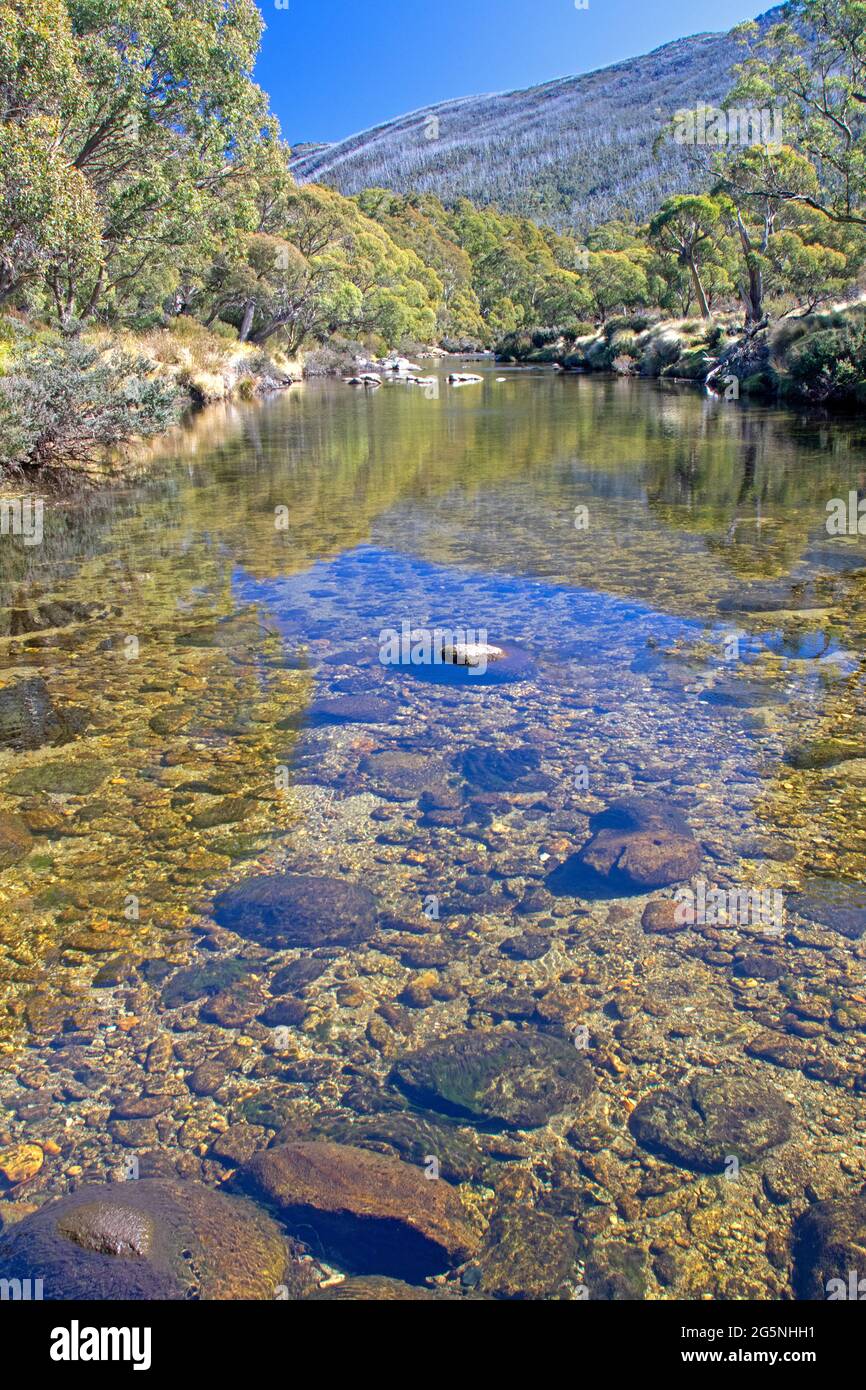 Fiume Thredbo, Parco Nazionale di Kosciuszko Foto Stock