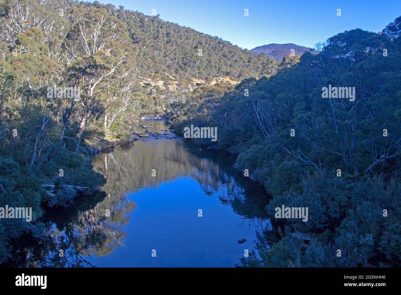 Fiume Thredbo, Parco Nazionale di Kosciuszko Foto Stock