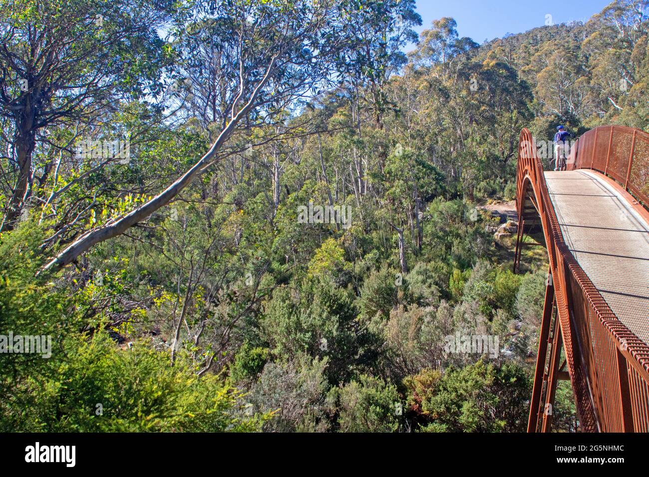 Ciclista su un ponte sospeso sulla pista della Valle del Thredbo Foto Stock
