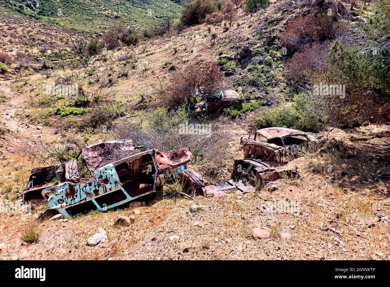 Automobili schiantate e abbandonate, girasole, Arizona, U.S.A., Foto Stock