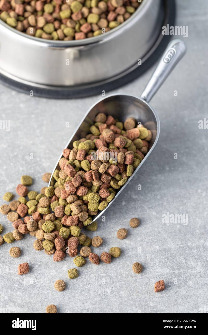 Cibo animale kibble asciutto. Cibo essiccato per gatti o cani in scoop. Foto Stock