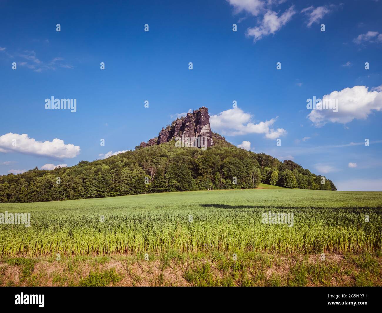 Vista del Lilienstein nelle montagne di pietra arenaria dell'Elba in Sassonia Foto Stock