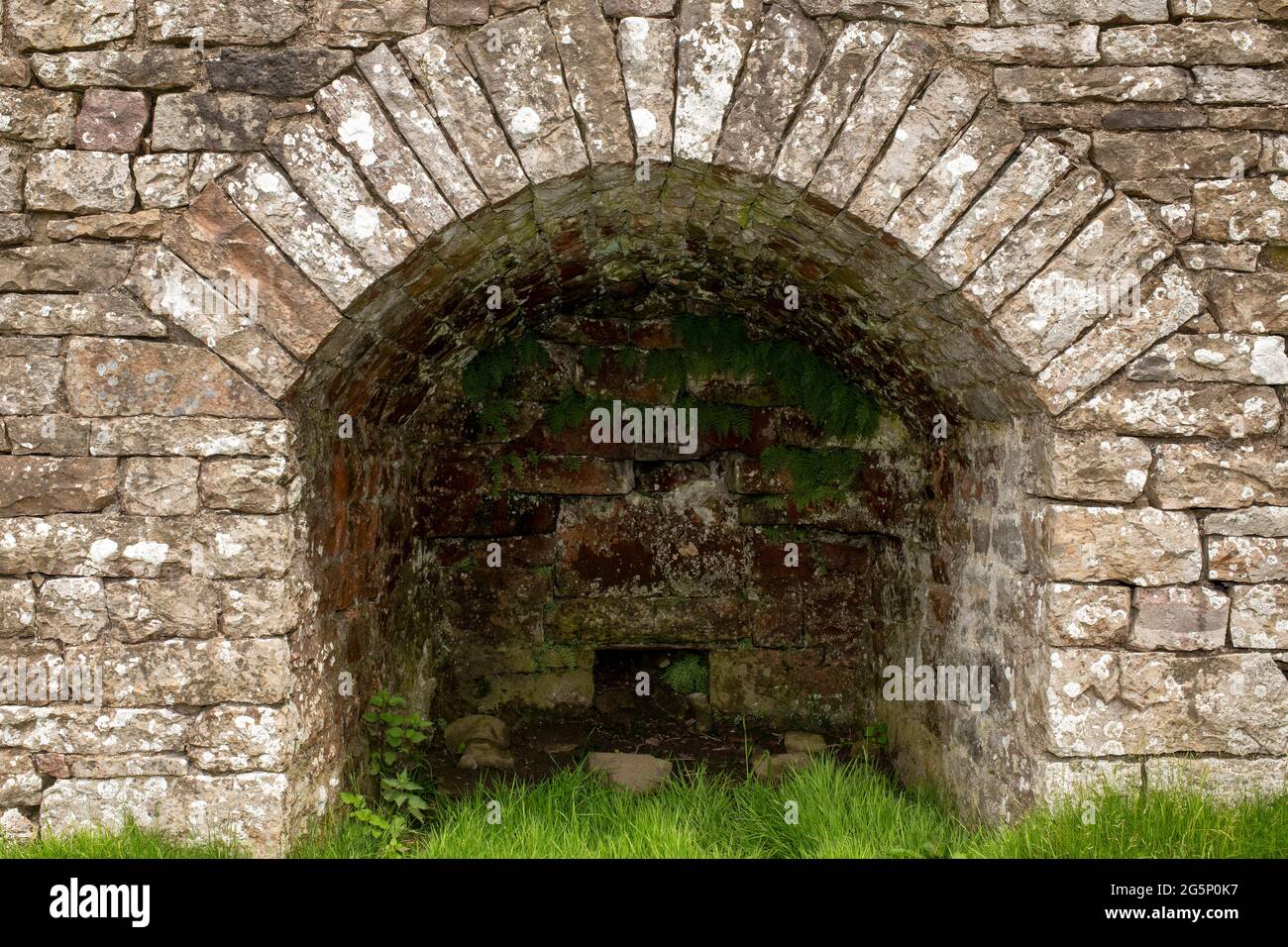 Felci che crescono nella ciotola di un forno di calcare obsoleto ad alta Eskeleth, Arkengarthdale, Yorkshire Dales, Regno Unito Foto Stock