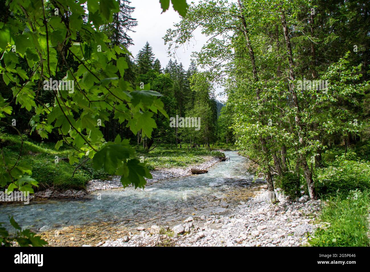 Paesaggi alpini austriaci con alberi e un fiume con acque cristalline in una soleggiata giornata estiva a Salisburgo, Austria Foto Stock