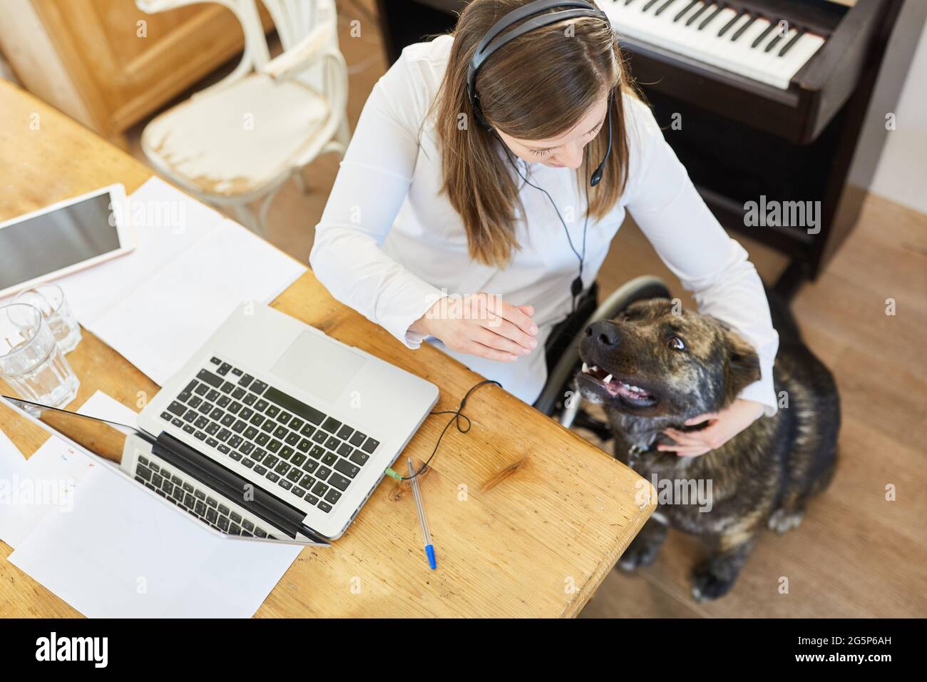 Donna disabile in sedia a rotelle presso il computer dell'ufficio domestico con un cane di assistenza come animale domestico Foto Stock