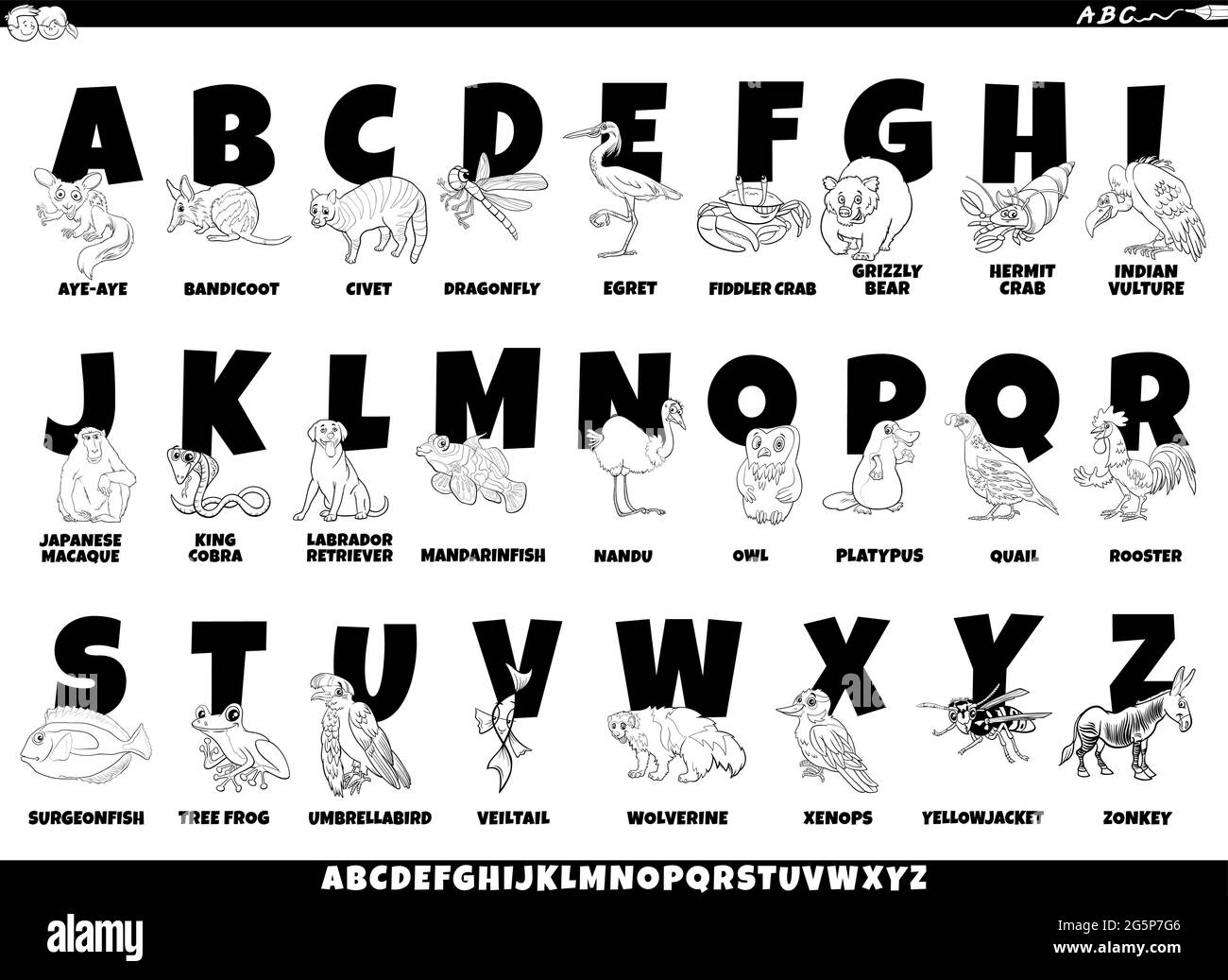 Illustrazione di Cartoon del set completo di Alfabeto colorato con animale divertente Personaggi e didascalie Illustrazione Vettoriale