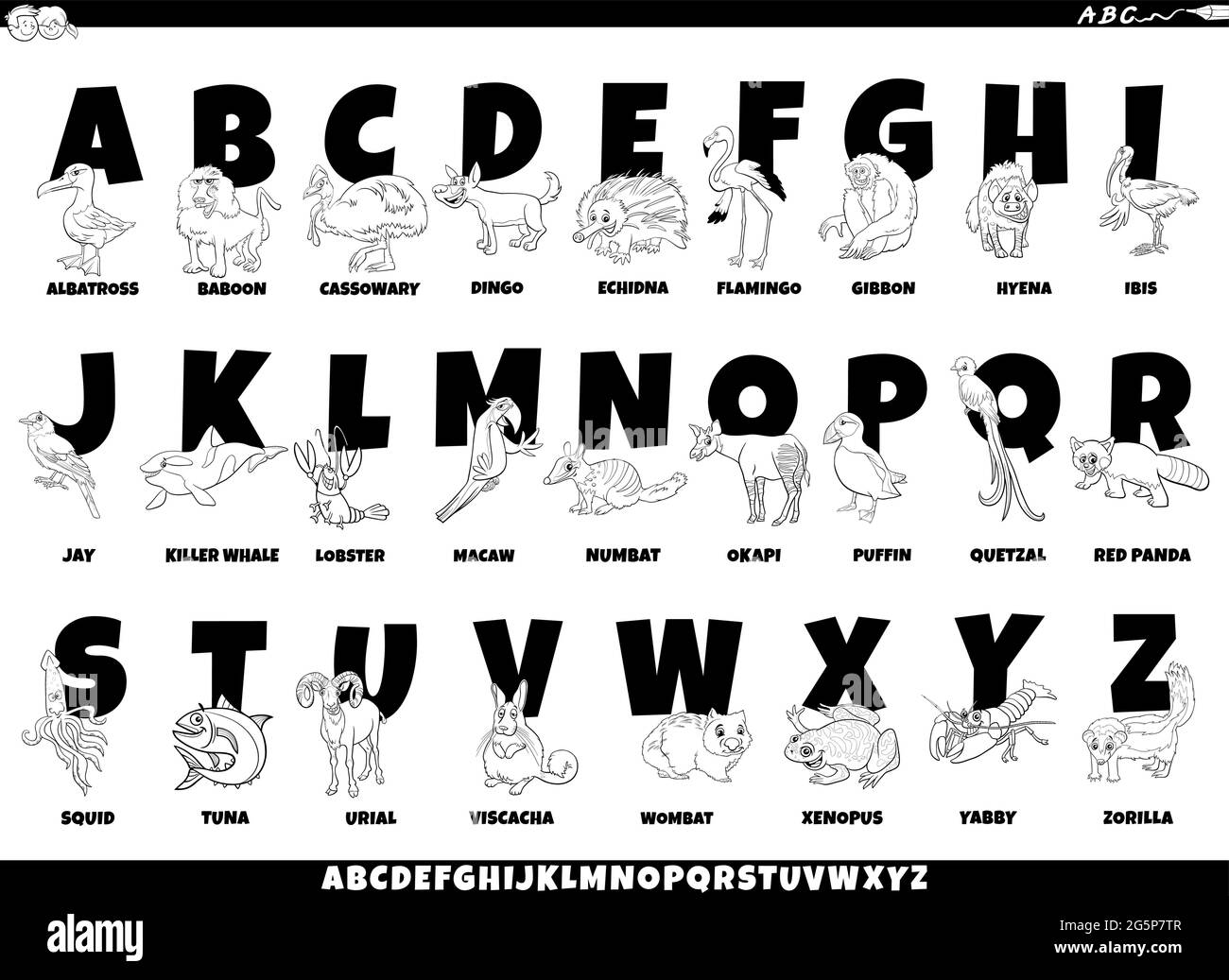 Illustrazione di Cartoon del set completo di Alfabeto colorato con animale divertente Personaggi e didascalie Illustrazione Vettoriale