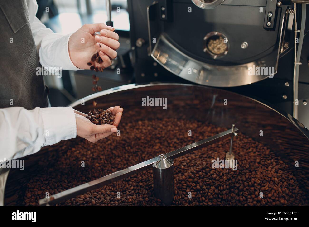 Raffreddamento del caffè in macchina per tostatura durante il processo di tostatura del caffè. Le mani della donna versano i chicchi di caffè. Foto Stock