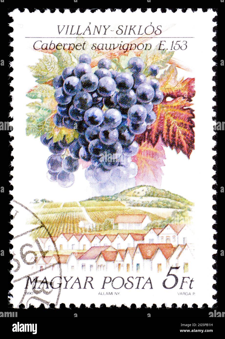 UNGHERIA - CIRCA 1990: Francobollo dall'Ungheria che mostra una specie di uva Cabernet sauvignon nella regione di Villany-Siklos Foto Stock