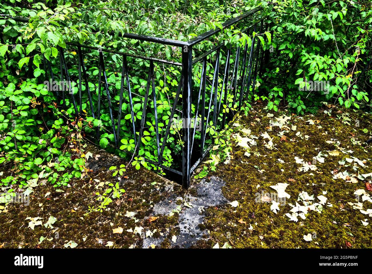 Terrazza invasa da vegetazione lussureggiante in una casa abbandonata, fotografia concettuale, Francia Foto Stock