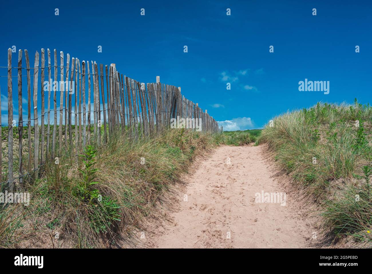 Dunes presso la spiaggia di Bantham, Kingsbridge, Devon, Inghilterra Foto Stock