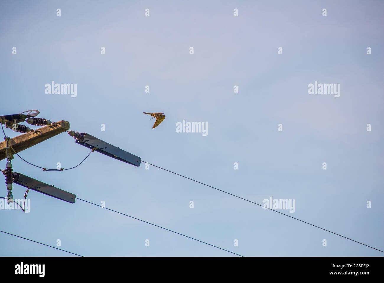 Hawk decollo da Pylon Foto Stock