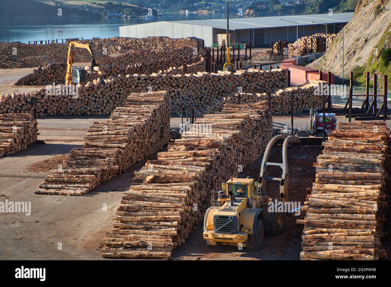 Impilando il veicolo si accumulano tronchi di albero per la spedizione fuori dal porto di Otago, Isola del Sud, Nuova Zelanda Foto Stock