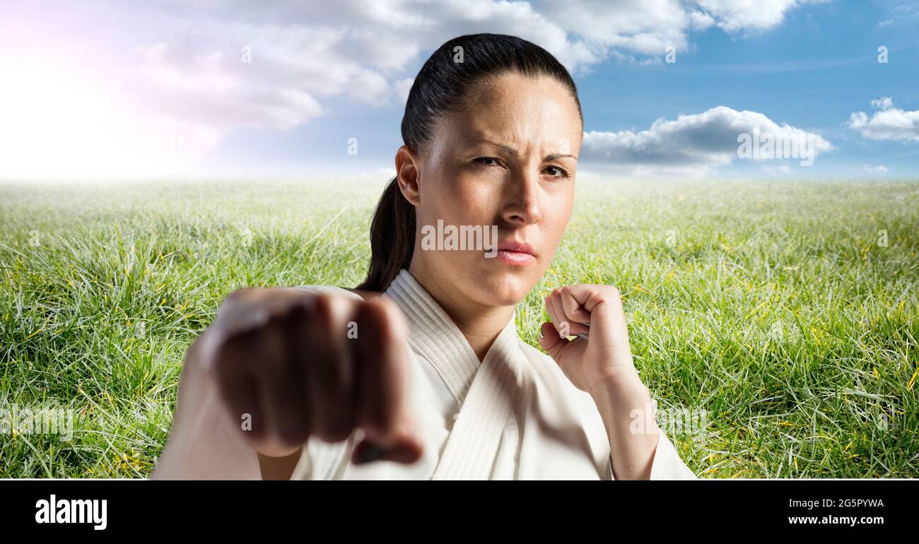 Immagine digitale composita di ritratto di artista coniugale caucasico contro l'erba e il cielo blu Foto Stock