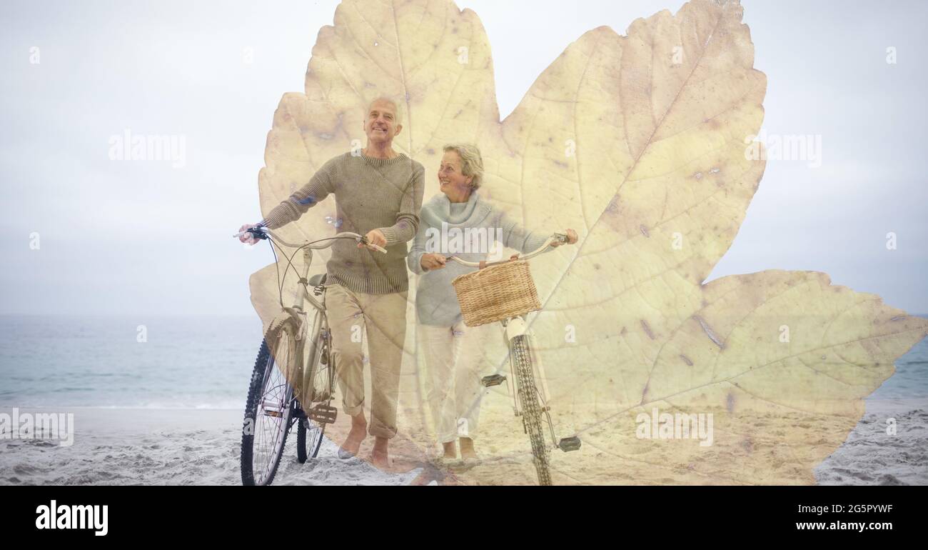 Immagine digitale composita della foglia contro coppia anziana che cammina in bicicletta in spiaggia Foto Stock