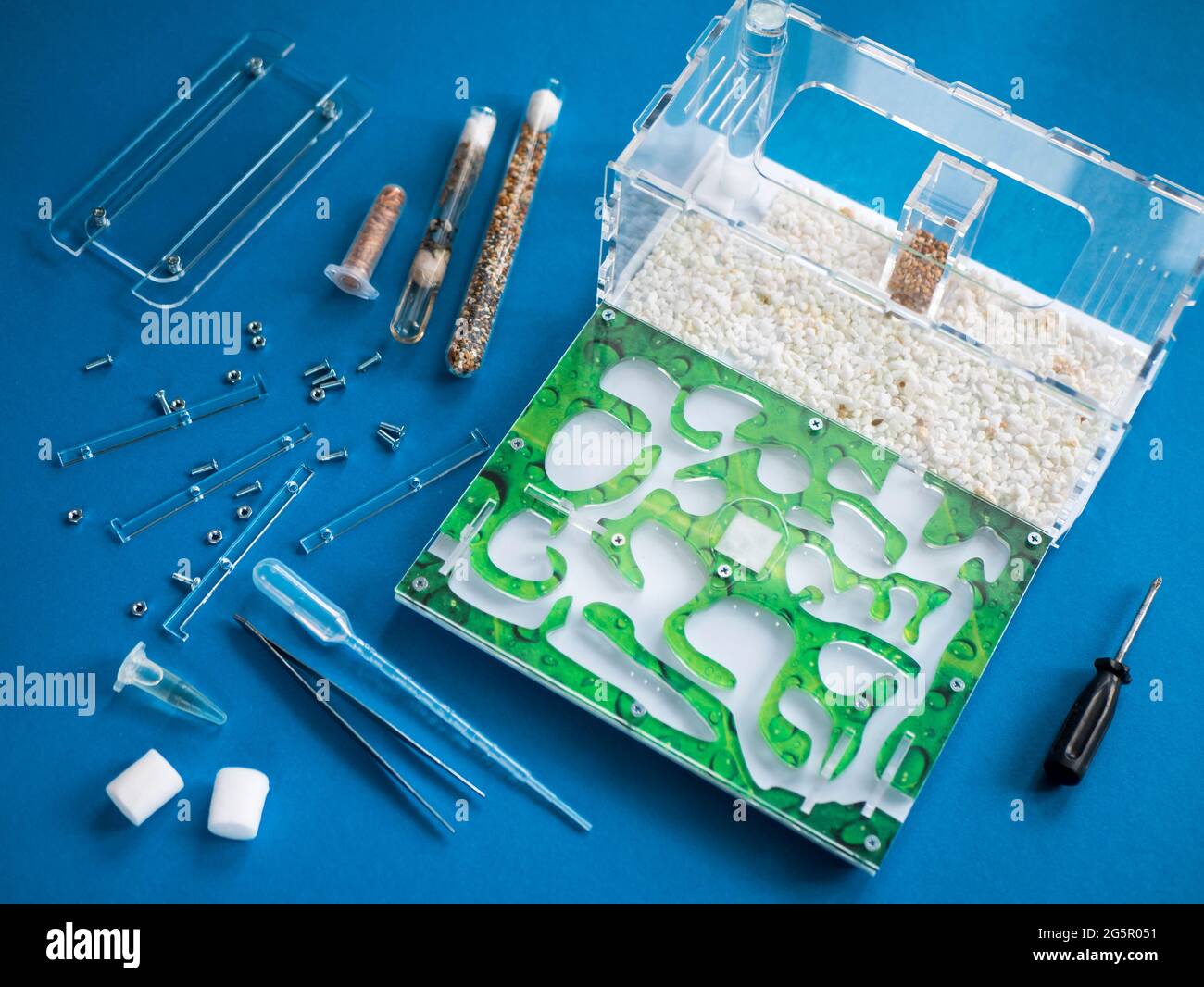 Attrezzatura per riempimento di nido di formiche. Fare di una fattoria formica. Formicarium per allevare formiche e per una facile osservazione dei comportamenti degli insetti. Mantenere formiche come animale domestico Foto Stock